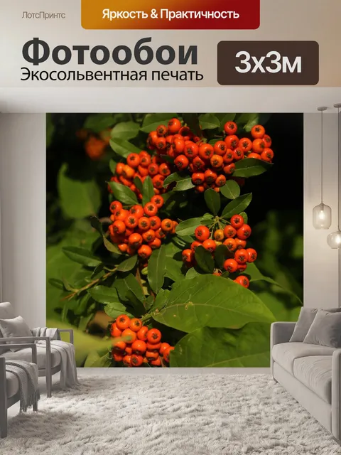 Фотообои Осень