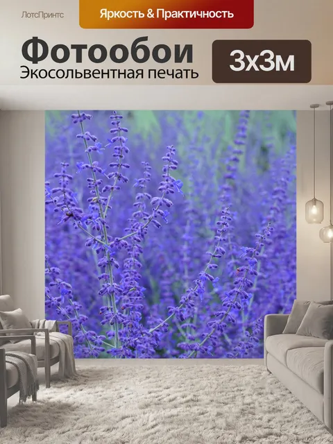 Фотообои Цветут цветы садовые цветы