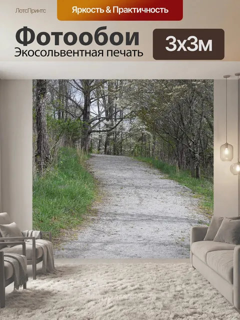 Фотообои Дорога