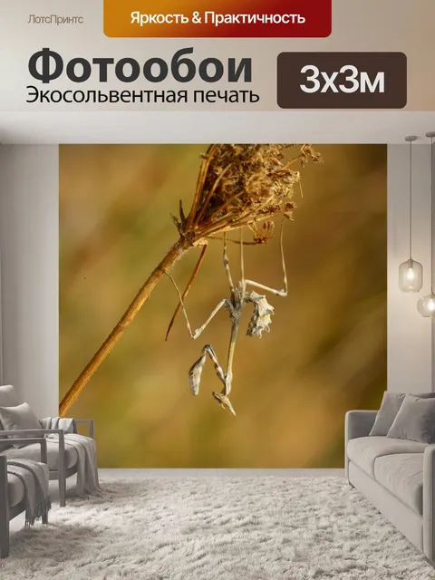 Фотообои Лист