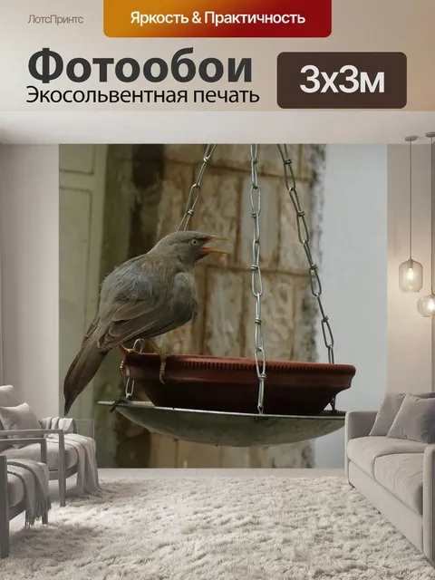 Фотообои Птица