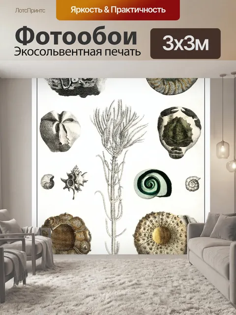 Фотообои Окаменелости винтаж искусство старый