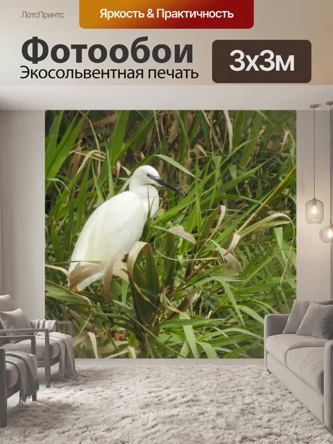 Фотообои Природа