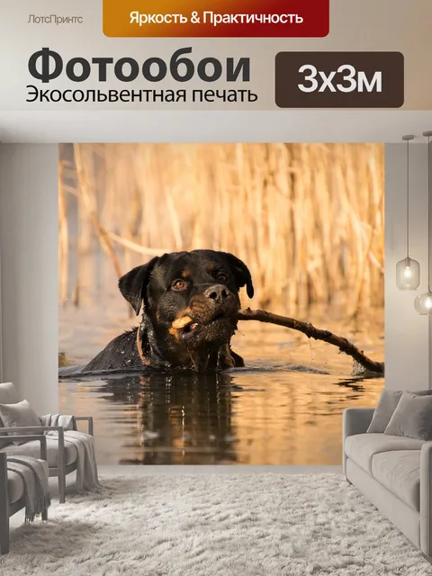 Фотообои Воды