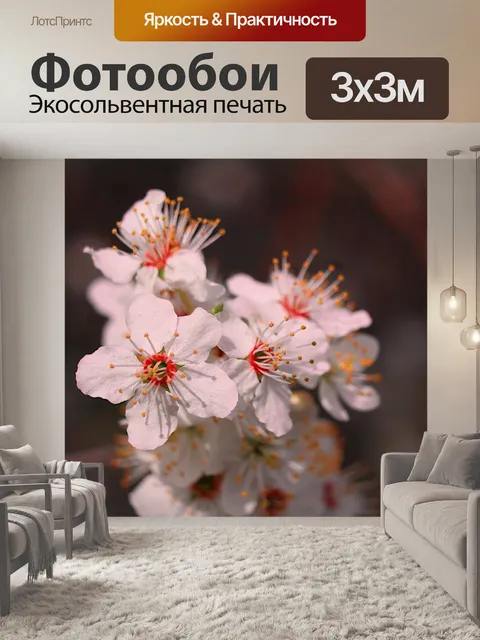 Фотообои Природа
