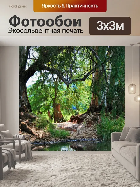 Фотообои эвкалипты