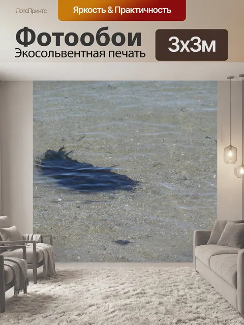 Фотообои Водоросли на песке