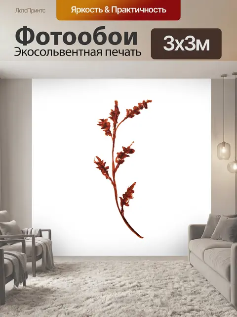 Фотообои Цветы
