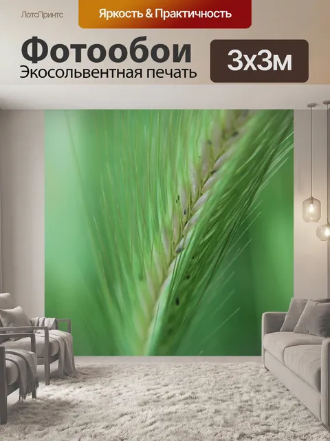 Фотообои Шипы