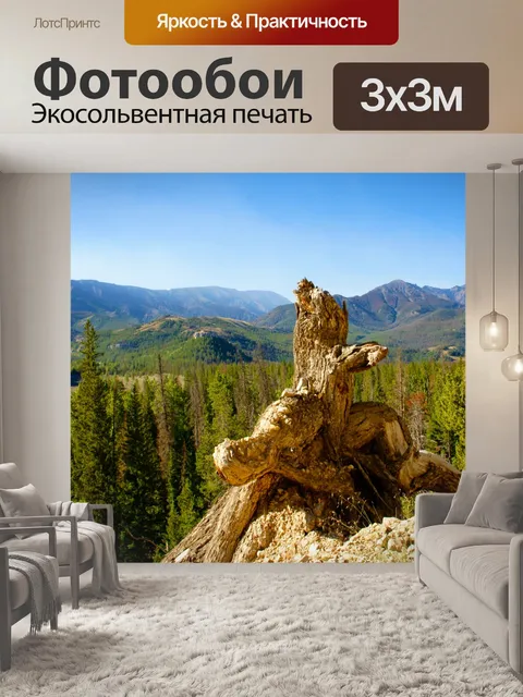 Фотообои Ствол дерева в пустыне