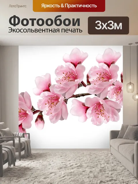 Фотообои Цветы