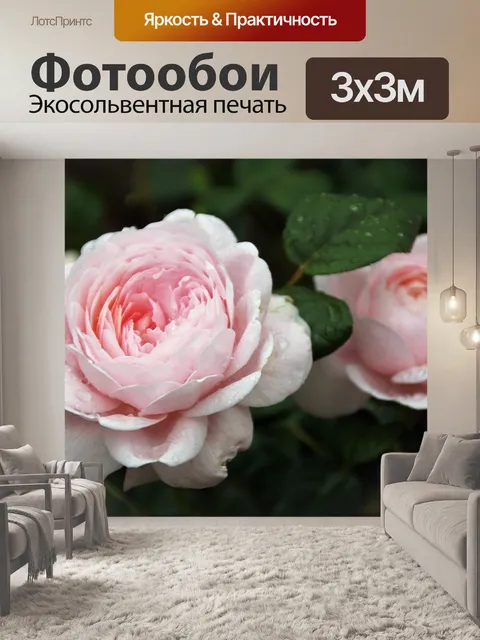 Фотообои Розы