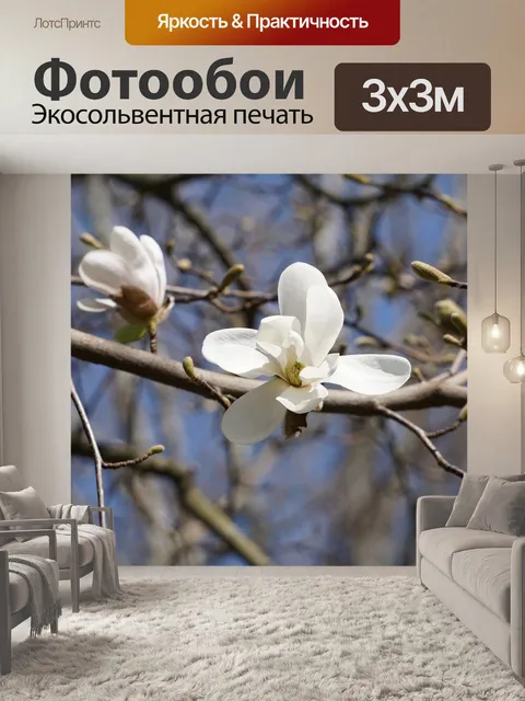 Фотообои Цветы