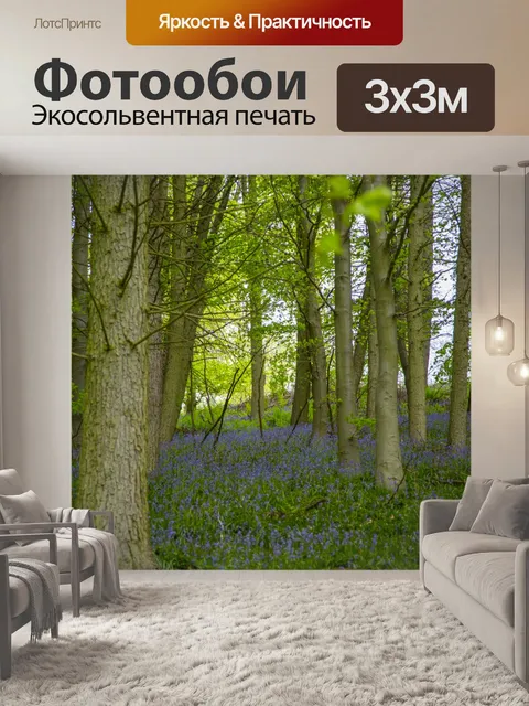 Фотообои Цветы в лесу
