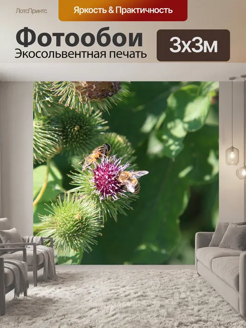 Фотообои Расцветает