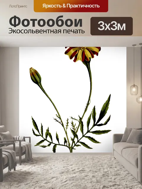 Фотообои Цветы