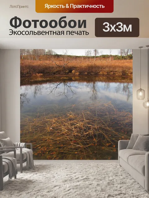 Фотообои Лес