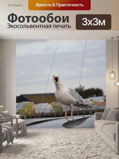 Фотообои Чайка которая поет