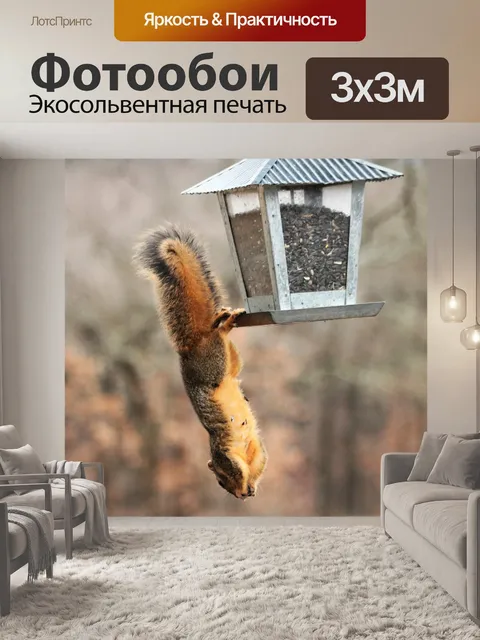 Фотообои Перевернутая белка на кормушке