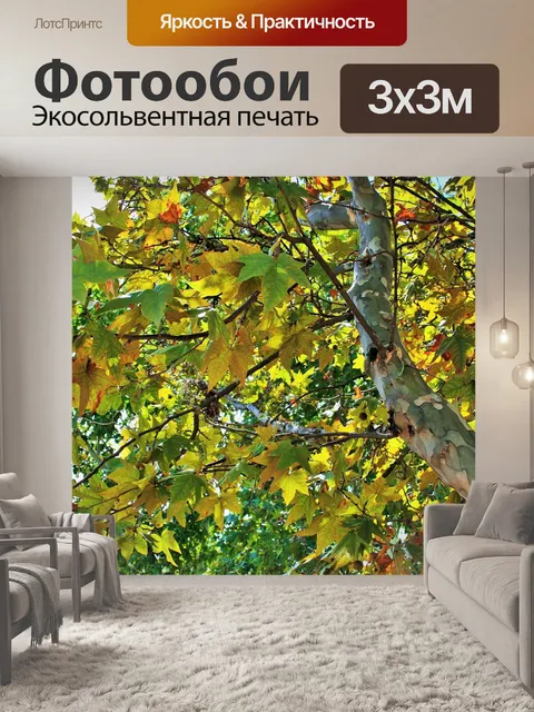 Фотообои Самолет уходит