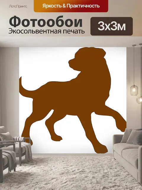Фотообои Собака