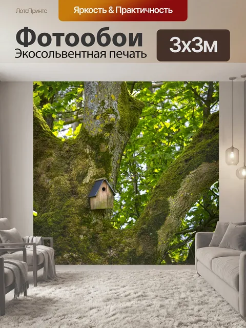 Фотообои Птичий стенд