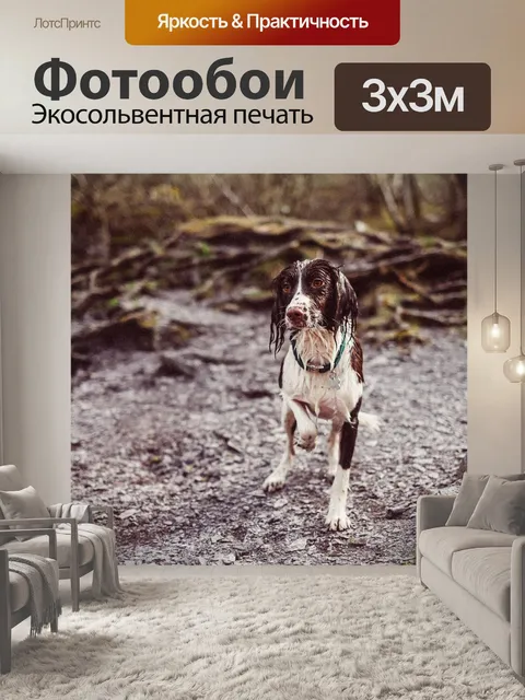 Фотообои Мокрый