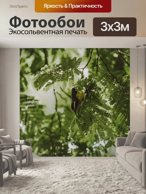 Фотообои Птица
