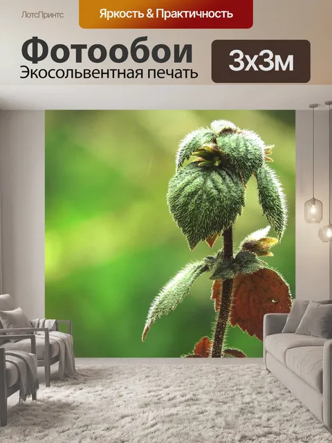 Фотообои Площадка