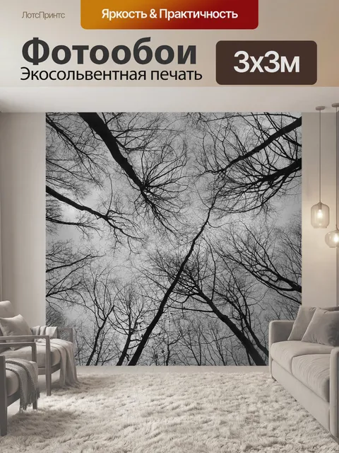 Фотообои Лес