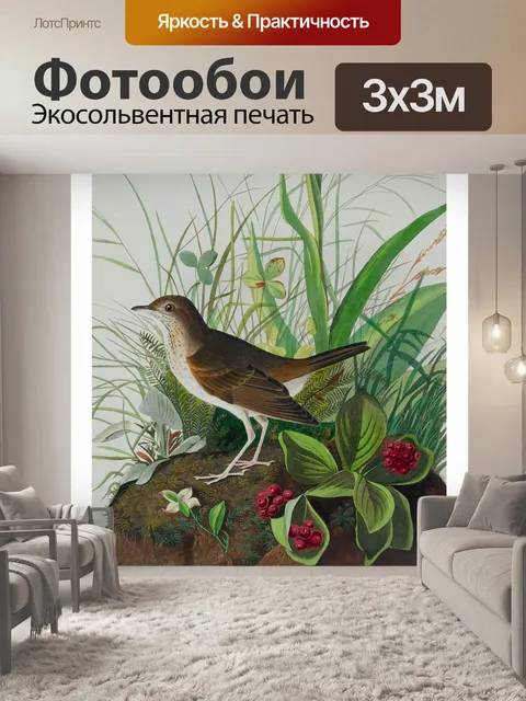 Фотообои Винтажная иллюстрация птичьего искусства