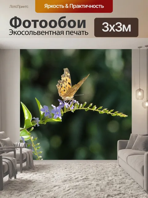 Фотообои Насекомое