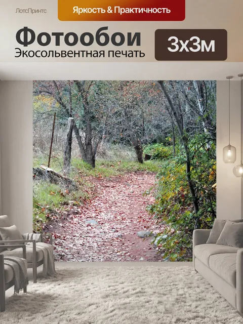 Фотообои Сельский Осень Прогулки Путь
