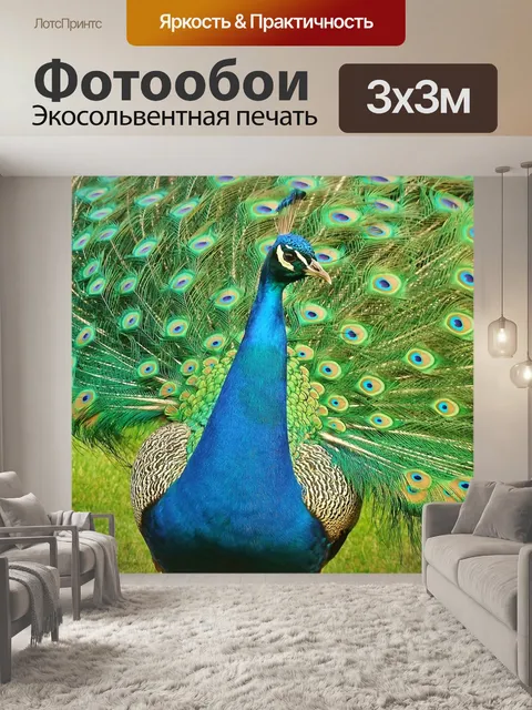 Фотообои Павлин