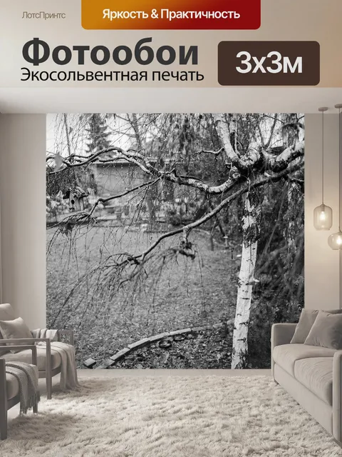 Фотообои Дерево