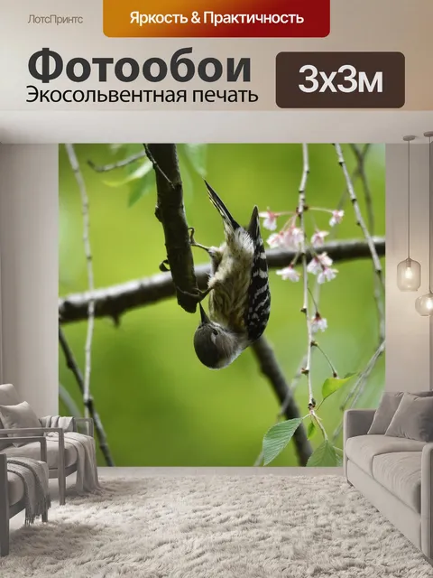 Фотообои Животное