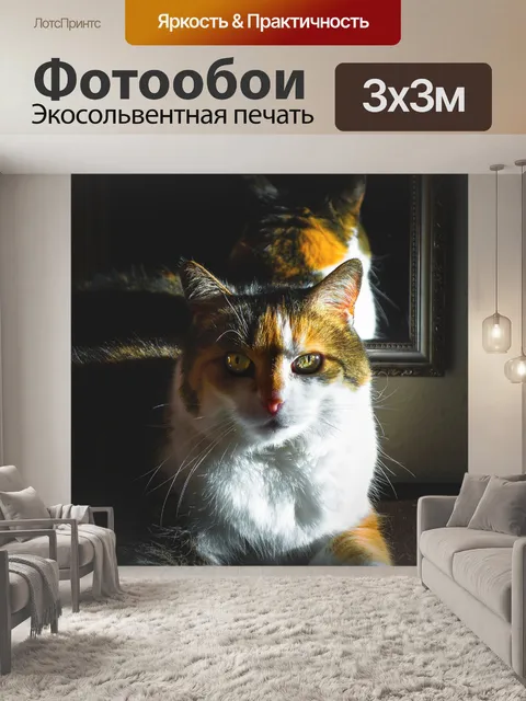 Фотообои Кот