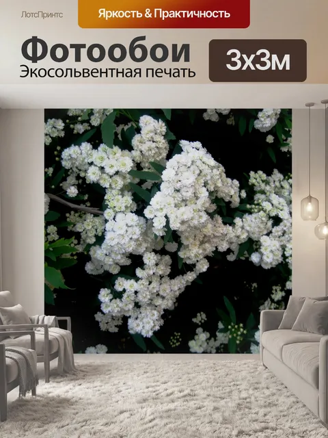 Фотообои Mayflower цветы