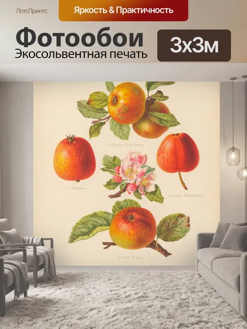 Фотообои Яблоки фрукты винтажные