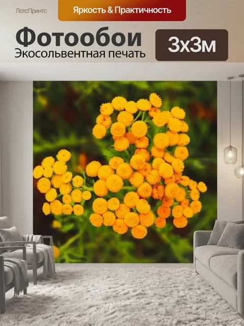 Фотообои Цветы