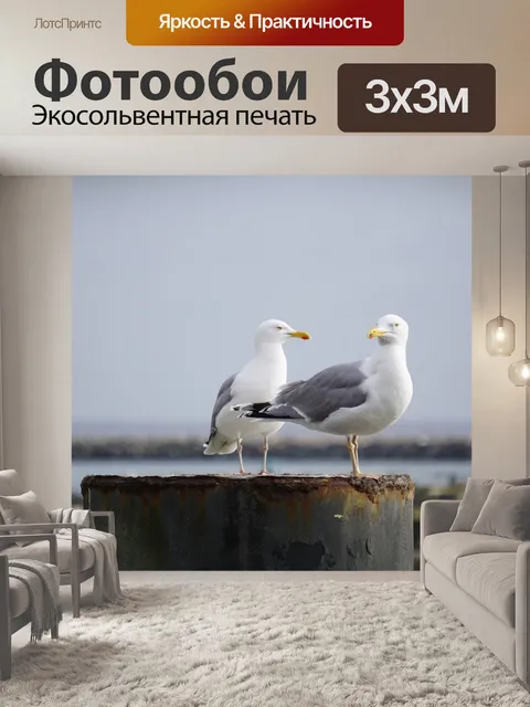 Фотообои Чайка