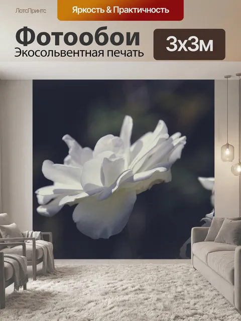 Фотообои Цветы