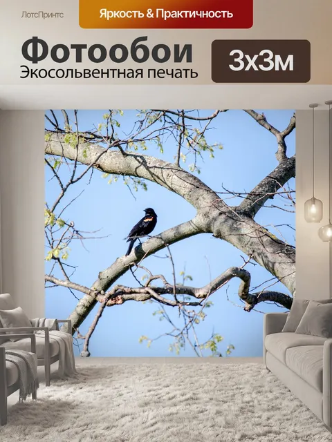 Фотообои Дерево