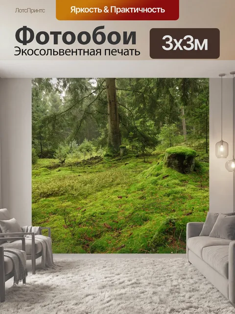 Фотообои Лес