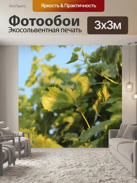 Фотообои Листья