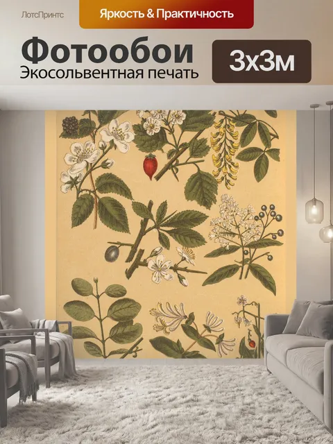 Фотообои Коллаж старинных ботанических растений