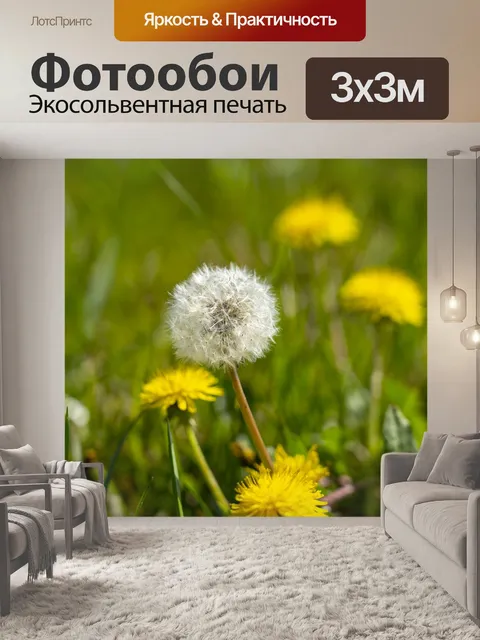 Фотообои Одуванчик