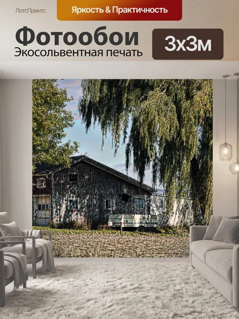 Фотообои Плакучая ива дерево