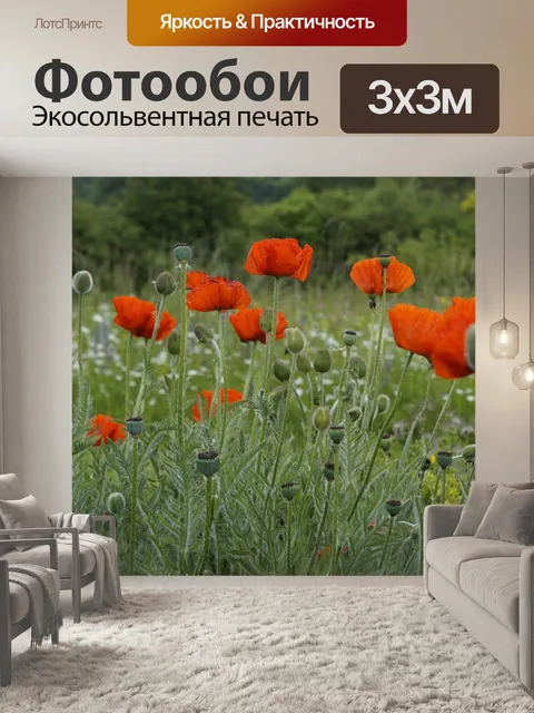 Фотообои Мак