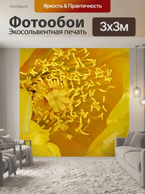 Фотообои Кактус